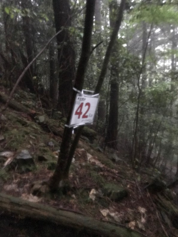 20170513183734_35524211935_o